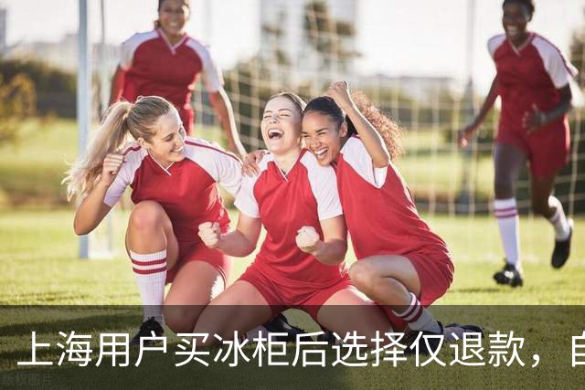上海用户买冰柜后选择仅退款，自称冰柜"已销毁"无法退货，商家跨省索要后发现冰柜正插电使用，结局亮了