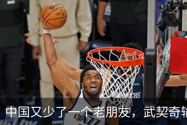 中国又少了一个老朋友，武契奇输了