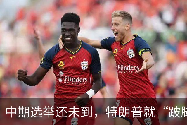 中期选举还未到，特朗普就“跛脚”了