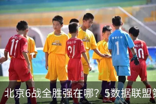 北京6战全胜强在哪？5数据联盟第1+14项数据联盟前5，场均净胜25分