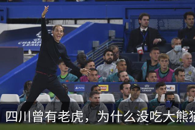 四川曾有老虎，为什么没吃大熊猫？护林员说：80%的人不知道，老虎就算“饿疯了”，也不会将大熊猫当作美餐