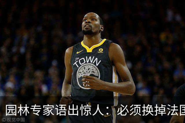 园林专家语出惊人：必须换掉法国梧桐，有很多中国好树被“雪藏”