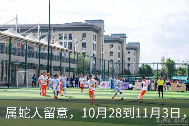 属蛇人留意，10月28到11月3日，搁置许久的事情迎来转机