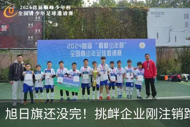 旭日旗还没完！挑衅企业刚注销跑路，又揪出5个跟风“一起披”的