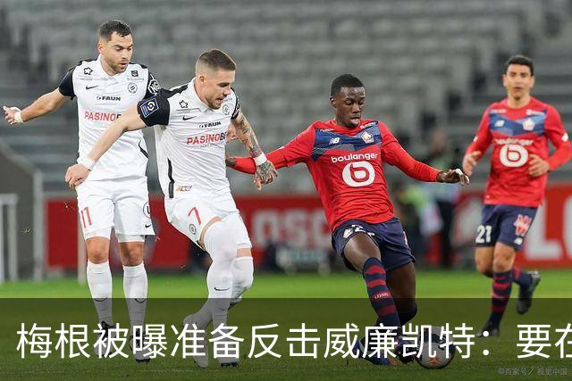 梅根被曝准备反击威廉凯特：要在新项目里抖出更多王室秘闻
