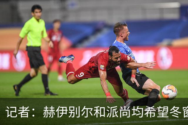 记者：赫伊别尔和派尚均希望冬窗离开马赛