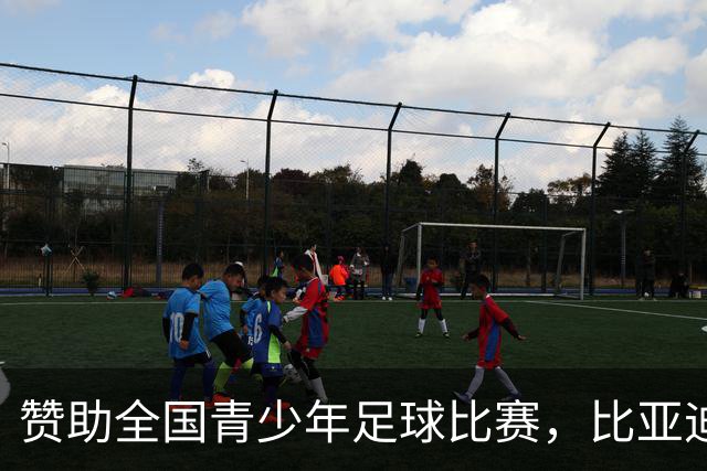 赞助全国青少年足球比赛，比亚迪在下一盘什么棋？