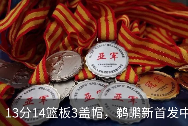 13分14篮板3盖帽，鹈鹕新首发中锋首秀交出两双