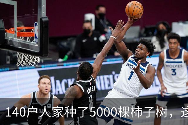 140户人家种了5000棵柿子树，这个浙江小村国庆6天来了8万人