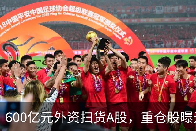 600亿元外资扫货A股，重仓股曝光
