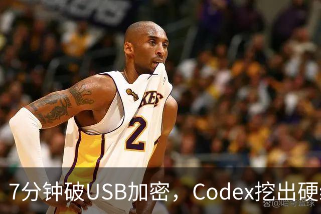 7分钟破USB加密，Codex挖出硬编码密钥